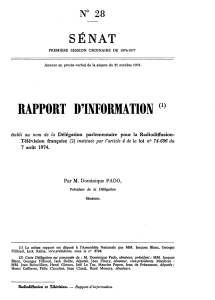 SÉNAT RAPPORT D'INFORMATION N° 28 i)