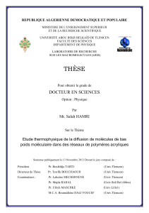 THESE-Doctorat-Physique-HAMRI-Salah-2013-Finale.pdf