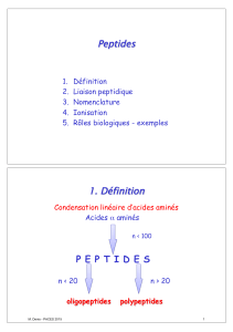 Peptides 1. Définition