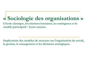 « Sociologie des organisations »