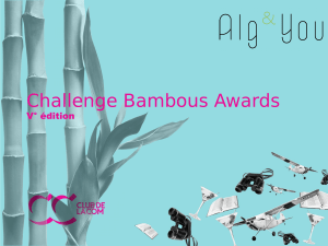 Challenge Bambous Awards V° édition
