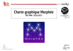 Charte graphique Morphée DUT MMI - 2016/2017