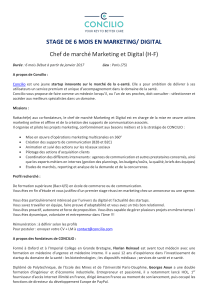 STAGE DE 6 MOIS EN MARKETING/ DIGITAL