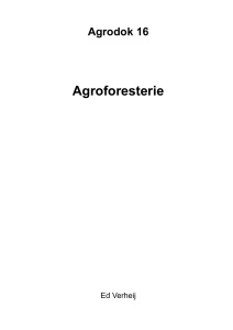 Agroforesterie Agrodok 16 Ed Verheij