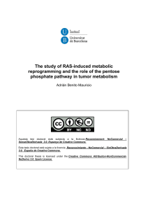 The study of RAS-induced metabolic phosphate pathway in tumor metabolism
