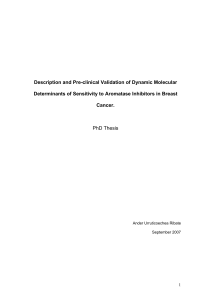 Description and Pre-clinical Validation of Dynamic Molecular