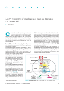 C Les 5 rencontres d’oncologie des Baux-de-Provence 4 et 5 octobre 2002