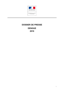 DOSSIER DE PRESSE DENGUE 2010