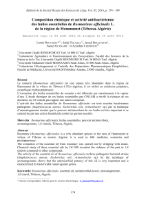 Composition chimique et activité antibactérienne Rosmarinus officinalis