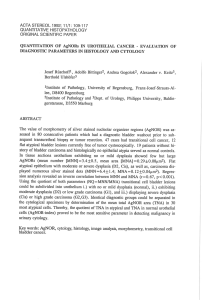 ACTA STEREOL 1992; 11/1: 109-117 QUANTITATIVE HISTOPATHOLOGY ORIGINAL SCIENTIFIC PAPER