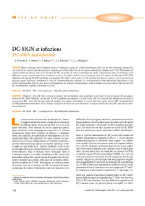 DC-SIGN et infections DC-SIGN and infections M