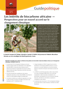 Guide politique 05 Les intérêts de biocarbone africaine —