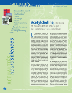 Ac&eacute;tylcholine,