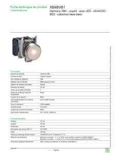 XB4BVB1 Fiche technique du produit Ø22 - cabochon lisse blanc