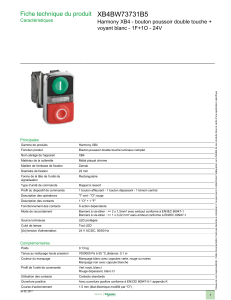 XB4BW73731B5 Fiche technique du produit voyant blanc - 1F+1O - 24V