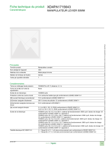 XD4PA1715643 Fiche technique du produit MANIPULATEUR LEVIER 50MM Caractéristiques