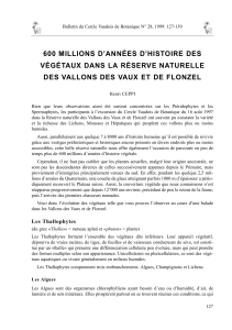 600 MILLIONS D’ANNÉES D’HISTOIRE DES VÉGÉTAUX DANS LA RÉSERVE NATURELLE