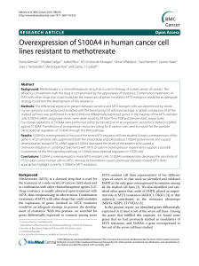 Overexpression of S100A4 in human cancer cell lines resistant to methotrexate