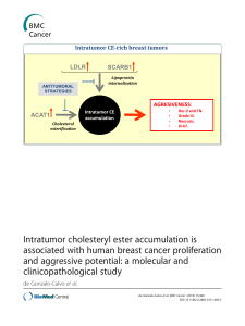 Intratumor cholesteryl ester accumulation is associated with human breast cancer proliferation