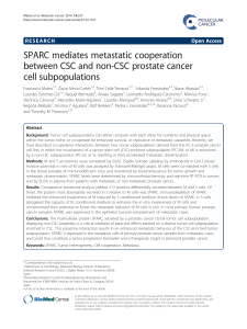 SPARC mediates metastatic cooperation between CSC and non-CSC prostate cancer cell subpopulations