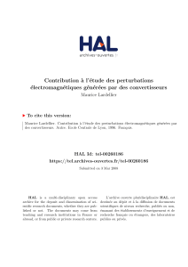 Contribution ` a l’´ etude des perturbations ´