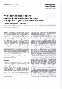 Prodigiosin induces cell death and morphological changes indicative