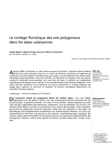 A Le cortège floristique des sols polygonaux dans les alpes valaisannes