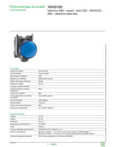 XB4BVB6 Fiche technique du produit Ø22 - cabochon lisse bleu