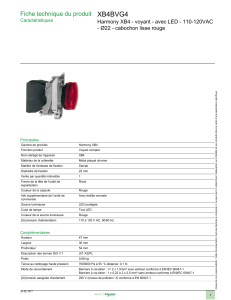 XB4BVG4 Fiche technique du produit - Ø22 - cabochon lisse rouge