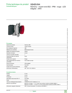 XB4BVM4 Fiche technique du produit intégrée - 240V