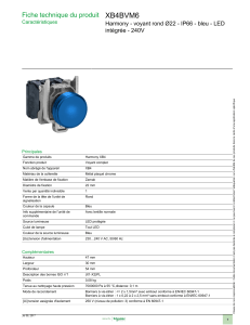 XB4BVM6 Fiche technique du produit intégrée - 240V