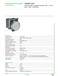 XB4BW31B5 Fiche technique du produit blanc - Ø22 - 24VACDC