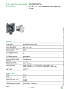 XB4BW31B55 Fiche technique du produit BOUTON POUSS LUMINEUX AFF LEURANT BLANC