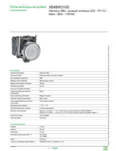 XB4BW31G5 Fiche technique du produit blanc - Ø22 - 110VAC