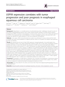 USP9X expression correlates with tumor progression and poor prognosis in esophageal