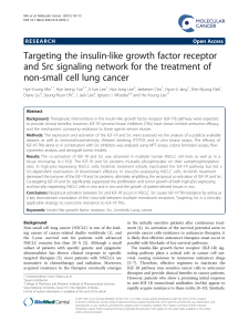 Targeting the insulin-like growth factor receptor non-small cell lung cancer