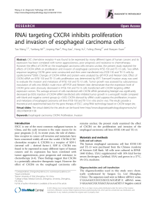 RNAi targeting CXCR4 inhibits proliferation and invasion of esophageal carcinoma cells