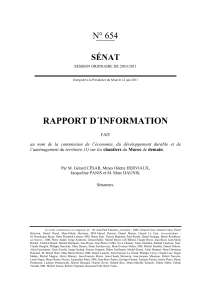 RAPPORT D´INFORMATION N° 654 SÉNAT
