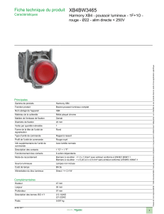 XB4BW3465 Fiche technique du produit