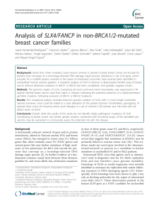 SLX4/FANCP in non-BRCA1/2-mutated Analysis of breast cancer families