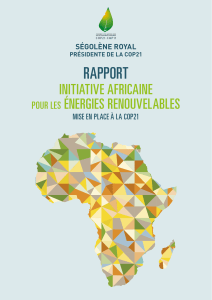 RAPPORT INITIATIVE AFRICAINE ÉNERGIES RENOUVELABLES POUR LES