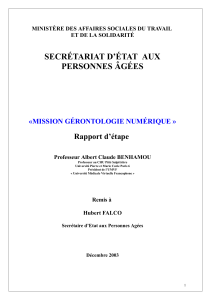 SECRÉTARIAT D’ÉTAT  AUX PERSONNES ÂGÉES Rapport d’étape «MISSION GÉRONTOLOGIE NUMÉRIQUE »