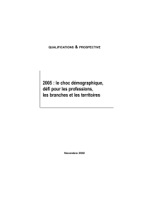 Télécharger 2005 : le choc démographique, défi pour les professions, les branches et les territoires au format PDF, poids 1.07 Mo