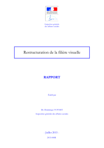 Restructuration de la filière visuelle RAPPORT - Juillet 2015 -