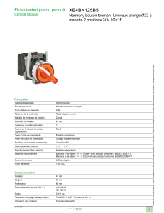 XB4BK125B5 Fiche technique du produit Harmony bouton tournant lumineux orange Ø22 à