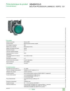 XB4BW33J3 Fiche technique du produit BOUTON POUSSOUR LUMINEUX, VERTE, 12V Caractéristiques