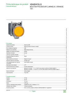 XB4BW35J3 Fiche technique du produit BOUTON POUSSOUR LUMINEUX, ORANGE, 12V