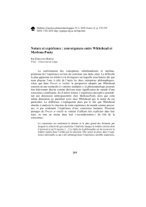 Bulletin d’analyse phénoménologique VI 2, 2010 (Actes 2), p. 219-239