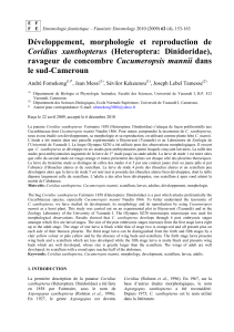Développement, morphologie et reproduction de Cucumeropsis mannii le sud-Cameroun Coridius xanthopterus