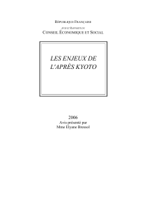 LES ENJEUX DE L'APRÈS KYOTO 2006